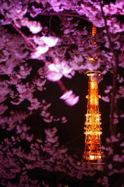 Tokyo Tower Guck Von Sakura — Stockfoto