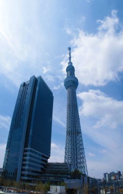 Tokyo Gökyüzü Ağacı güzel hava