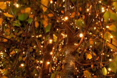 farklı dekorasyonlar, seçici odak