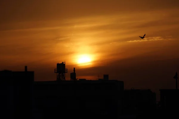 Silhouette Bei Sonnenuntergang Abend — Stockfoto