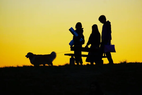 Menschen Die Abends Mit Ihrem Hund Auf Dem Hügel Spazieren — Stockfoto