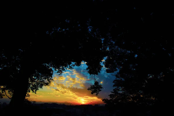 Atardecer Para Mirar Fuera Del Bosque — Foto de Stock