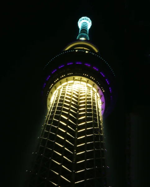 Night Sky Tree Image — Stock Photo, Image