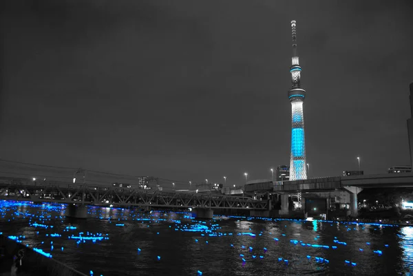 Sky Tree Illuminations Tokyo Firefly Monochromatic — ストック写真