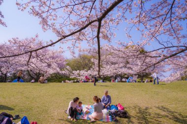 Kirazlı Honmoku Zirvesi Parkı 'nın (Yokohama)