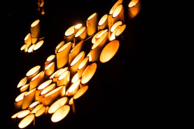 Bambu ormanı aydınlanıyor (Vatandaşın küçük masa kalesi ormanı)