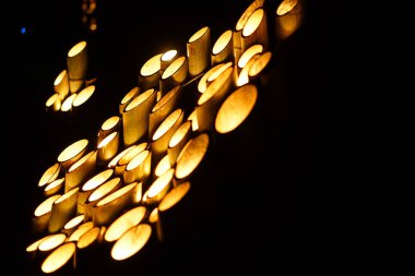 Bambu ormanı aydınlanıyor (Vatandaşın küçük masa kalesi ormanı)