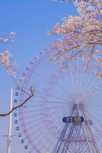 Sakura Yokohama Minato Mirai Telhados Flor Cheia — Fotografia de Stock