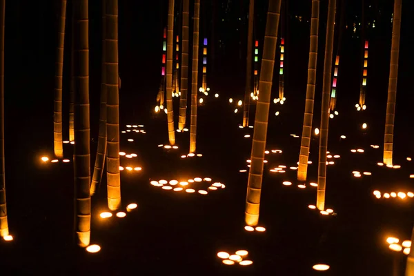 Bambusové Lesní Světlo Malý Psací Stůl Zámecký Les Občanů — Stock fotografie