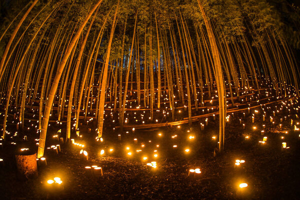 Загорается бамбуковый лес
)