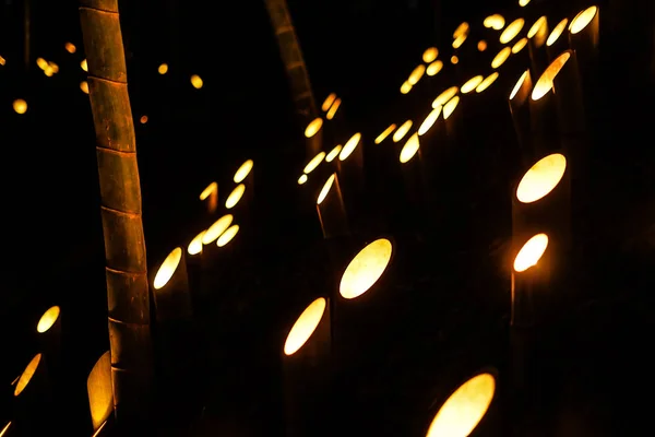竹林のライトアップ 小机市民の城の森 — ストック写真