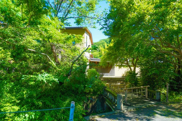 Kamakura街道包裹着新鲜的绿色 — 图库照片