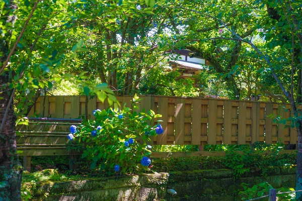 Kamakura Sokakları Taze Yeşille Kaplanmış — Stok fotoğraf