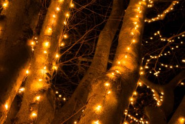 Yarışmanın Sendai ışığı ve Jozenji Caddesi 'nin gece manzarası.