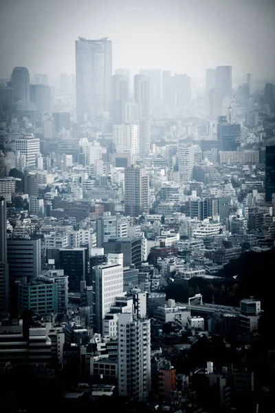 Vista Del Horizonte Tokio Desde Observatorio Del Edificio Del Gobierno —  Fotos de Stock