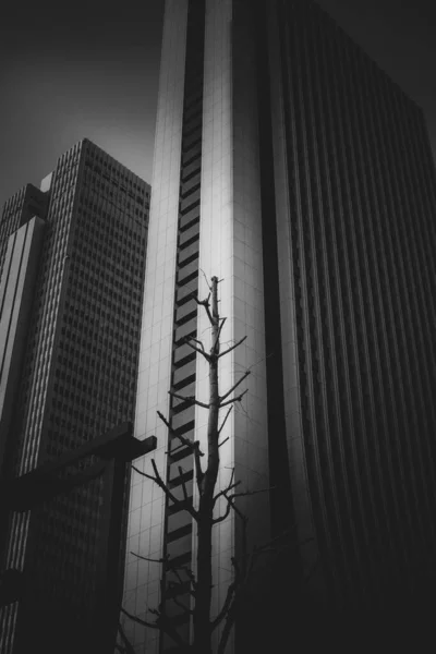 Wolkenkrabbers Van Shinjuku Tokyo Monochroom — Stockfoto