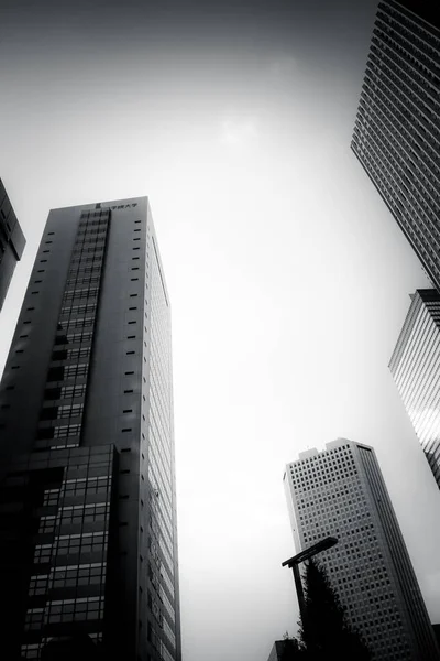Drapacze Chmur Shinjuku Tokio Monochromatyczne — Zdjęcie stockowe