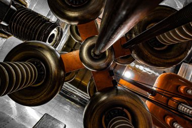 Bitki ve bitkilerin donanım görüntüsü