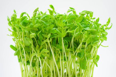 Mamenae 'nin görüntüsü.