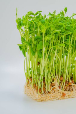 Mamenae 'nin görüntüsü.