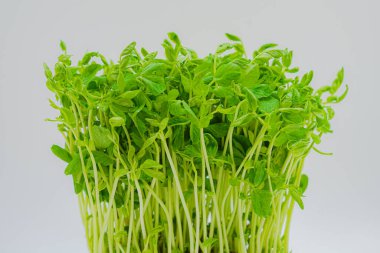 Mamenae 'nin görüntüsü.