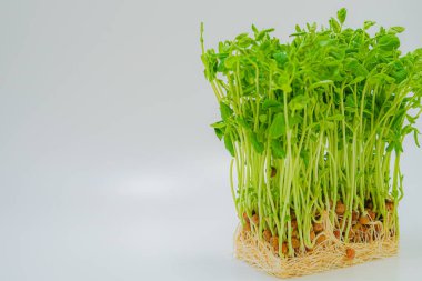 Mamenae 'nin görüntüsü.