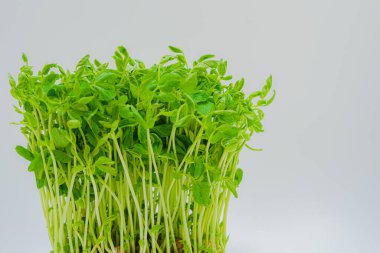 Mamenae 'nin görüntüsü.