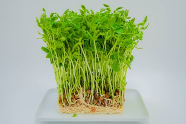 Mamenae 'nin görüntüsü.