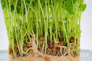 Mamenae 'nin görüntüsü.