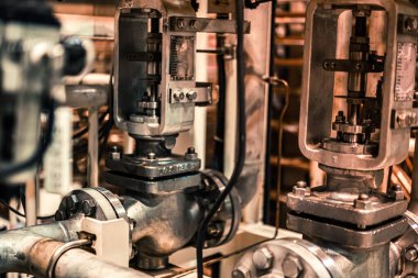 Bitki ve bitkilerin donanım görüntüsü