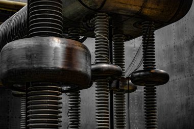 Bitki ve bitkilerin donanım görüntüsü