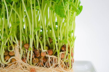 Mamenae 'nin görüntüsü.