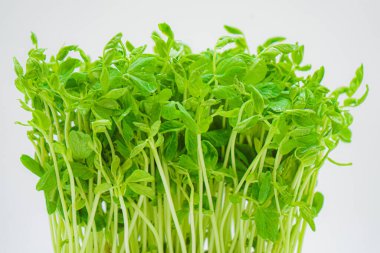 Mamenae 'nin görüntüsü.