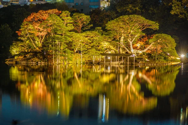 Осенние Листья Изображения Японского Сада — стоковое фото
