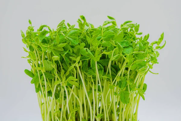 Mamenae 'nin görüntüsü.