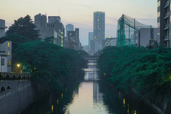 目黒川の新緑と道 — ストック写真