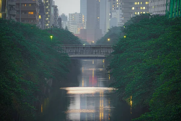 Frisches Grün Und Die Straßen Des Meguro River — Stockfoto