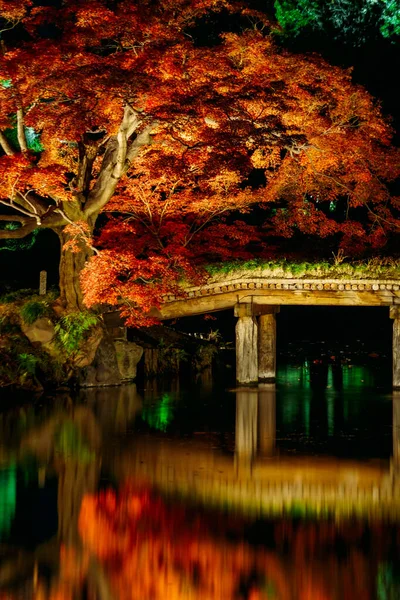 秋天的叶子映衬着一个日本花园 — 图库照片