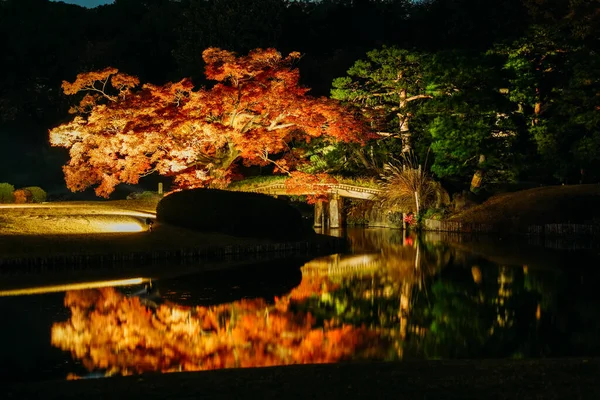 Otoño Deja Imagen Jardín Japonés —  Fotos de Stock