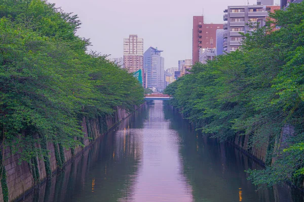 Verde Fresco Strade Del Fiume Meguro — Foto Stock