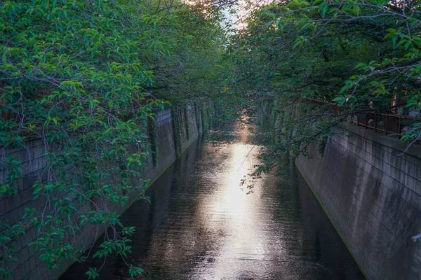 Vert Frais Tokyo Meguro River — Photo