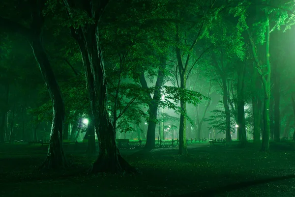 Park Inokashira Který Byl Zabalen Mlze — Stock fotografie