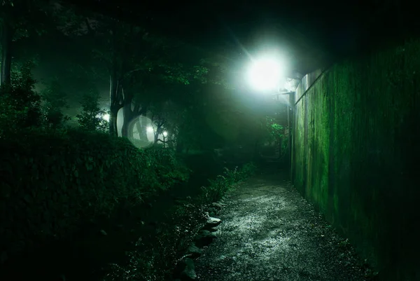 Sise sarılmış Inokashira Parkı