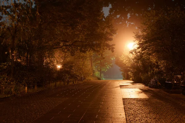 Parque Inokashira Que Foi Envolto Nevoeiro — Fotografia de Stock