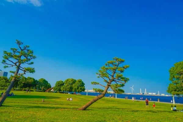 临港公园初夏 横滨市三井水门 — 图库照片