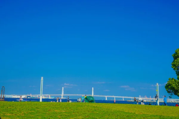 Principios Del Verano Del Parque Lingang Minato Mirai Yokohama — Foto de Stock