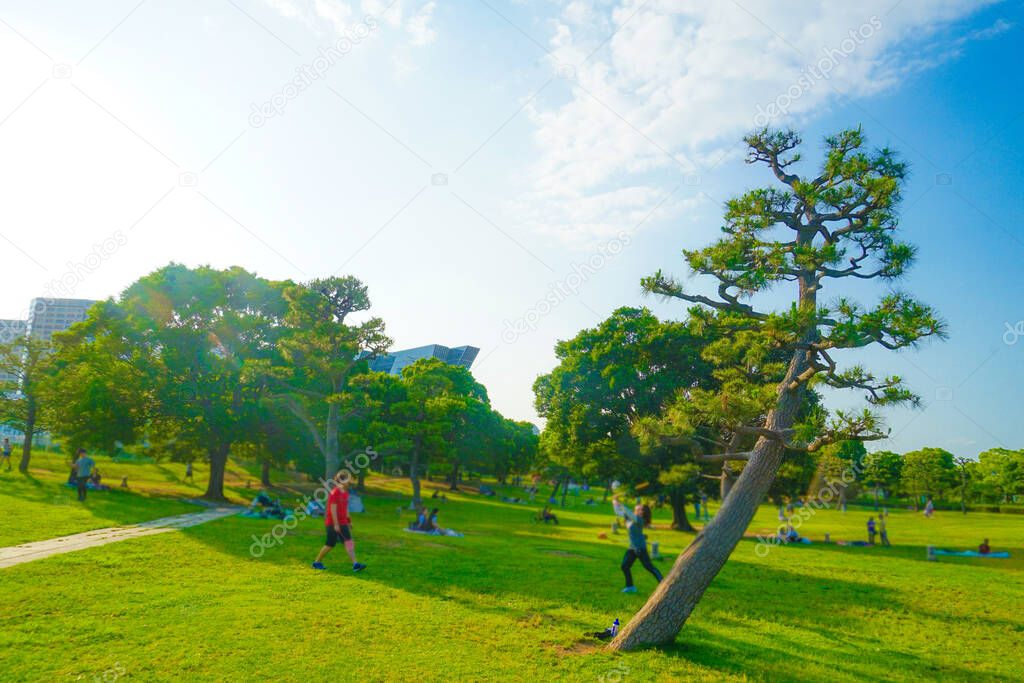 Early summer of Lingang Park (Minato Mirai, Yokohama)