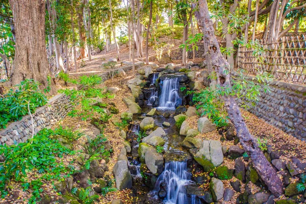 Folhas Outono Ogawa Imagem Parque Togoshi — Fotografia de Stock