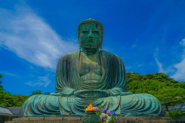 Início Verão Grande Buda Kamakura Que Foi Envolto Verde Fresco — Fotografia de Stock