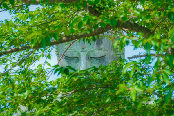 Early Summer Great Buddha Kamakura Which Wrapped Fresh Green — Stock Photo, Image